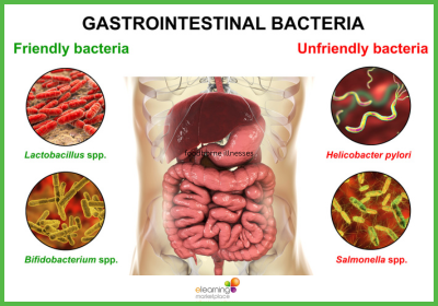 food safety compliance, it's important because foodborne illnesses result not only in severe risks to customers but also causes annual economic losses