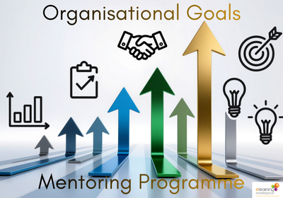 mentoring is a strategic development tool